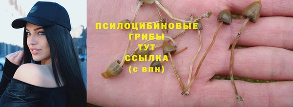 соль ск Галич