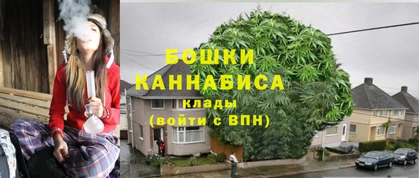 ALPHA PVP Покров