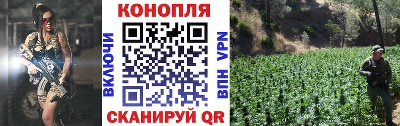 Бошки марихуана OG Kush  как найти   Руза 